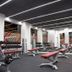 Palestra