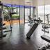 Palestra