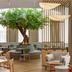Area lounge