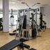 Palestra