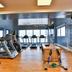 Palestra