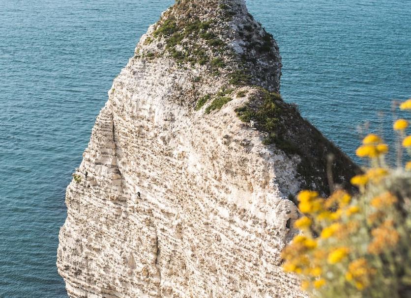 Altro Foto