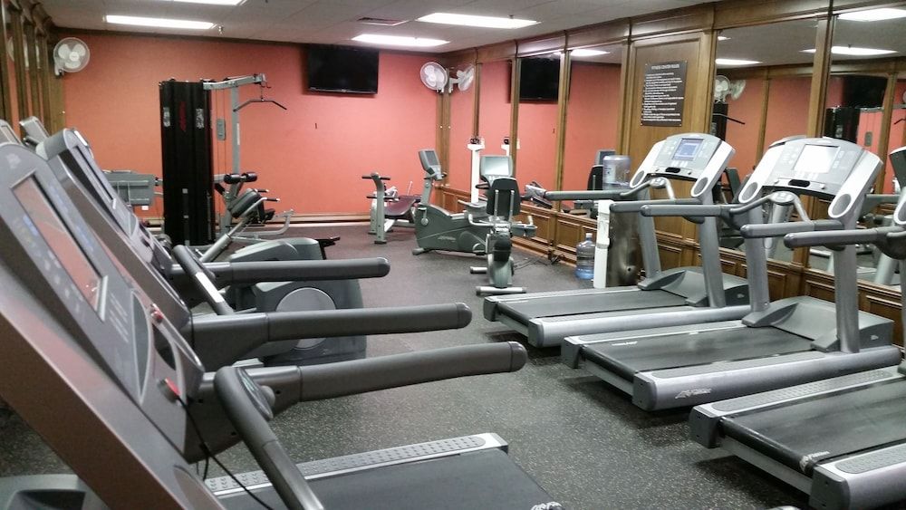 Palestra