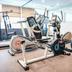 Palestra