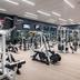 Palestra