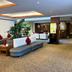 Ingresso