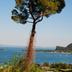 Vista esterna