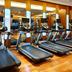 Palestra