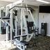 Palestra