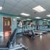 Palestra