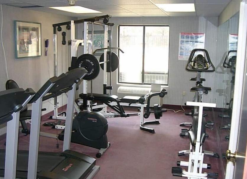 Palestra Foto