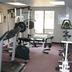 Palestra