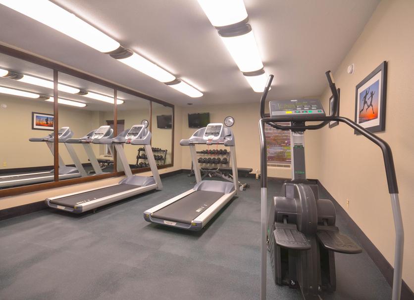 Palestra Foto