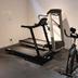 Palestra