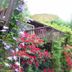 Vista esterna