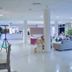 Ingresso