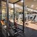 Palestra