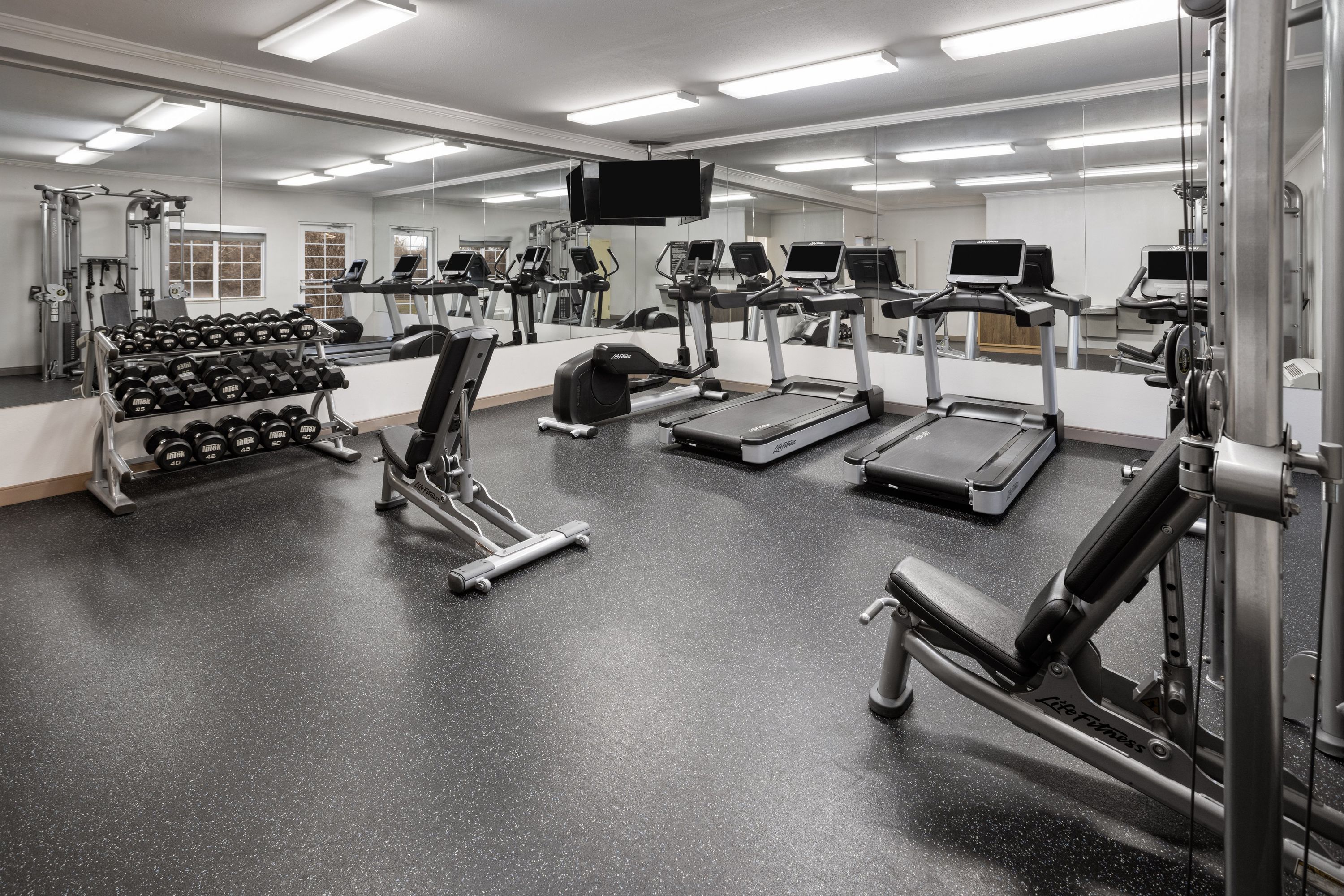Palestra
