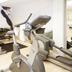 Palestra
