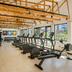 Palestra