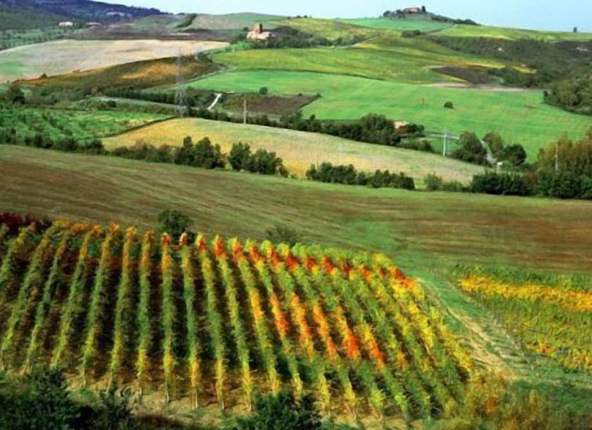 Vista esterna Foto
