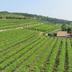 Vista esterna