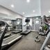 Palestra