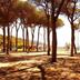 Vista esterna
