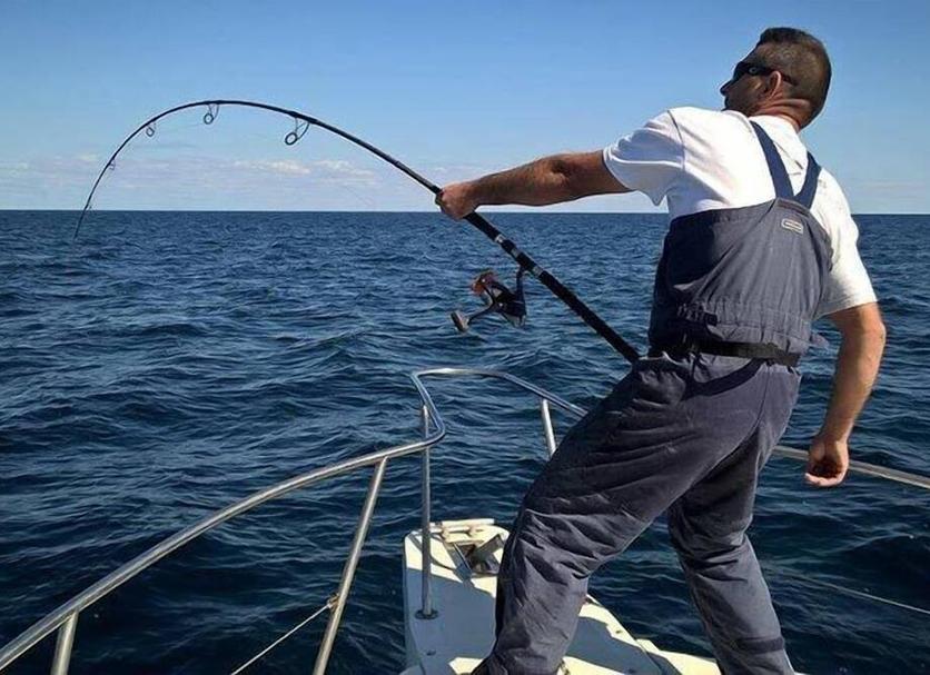 Altro Foto