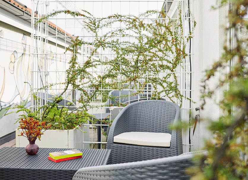 Patio Foto