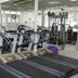 Palestra