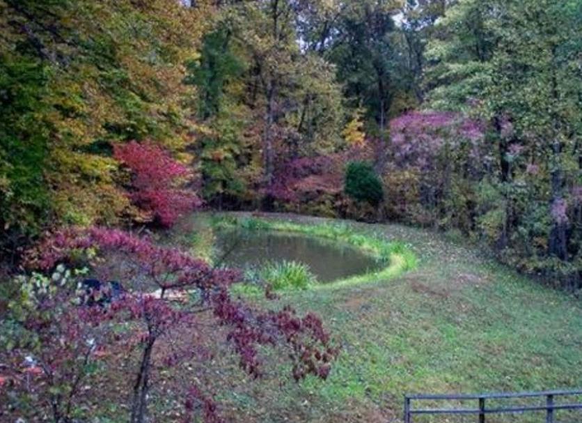 Vista esterna Foto