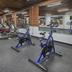 Palestra