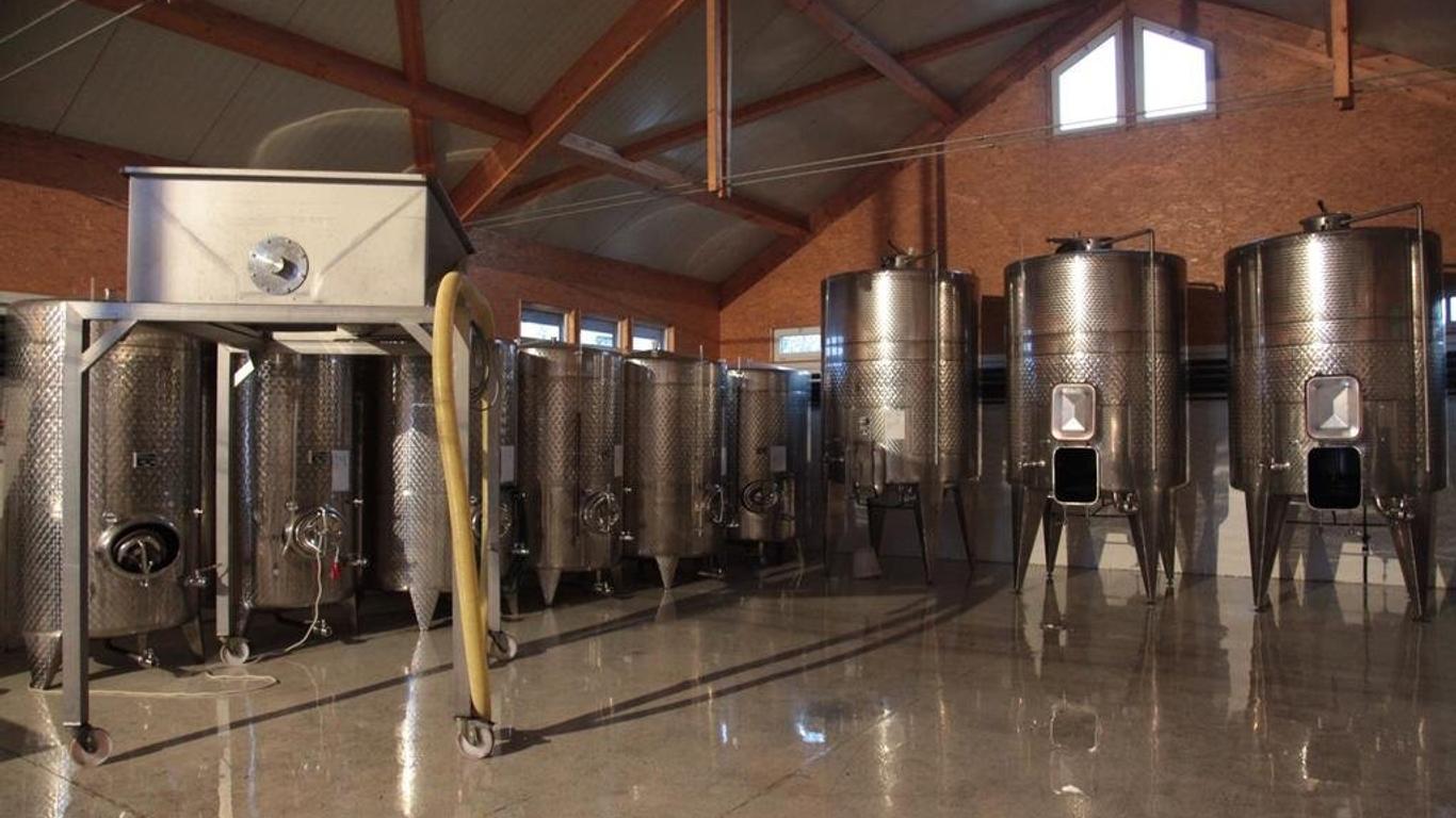 Winzerzimmer - Weingut Tinhof