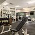 Palestra