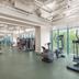 Palestra