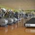 Palestra