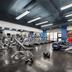 Palestra