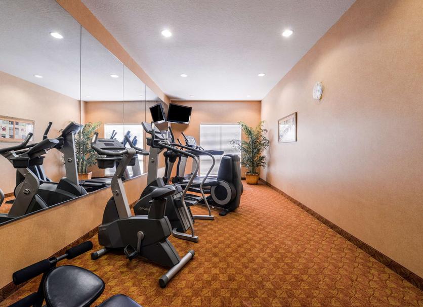 Palestra Foto