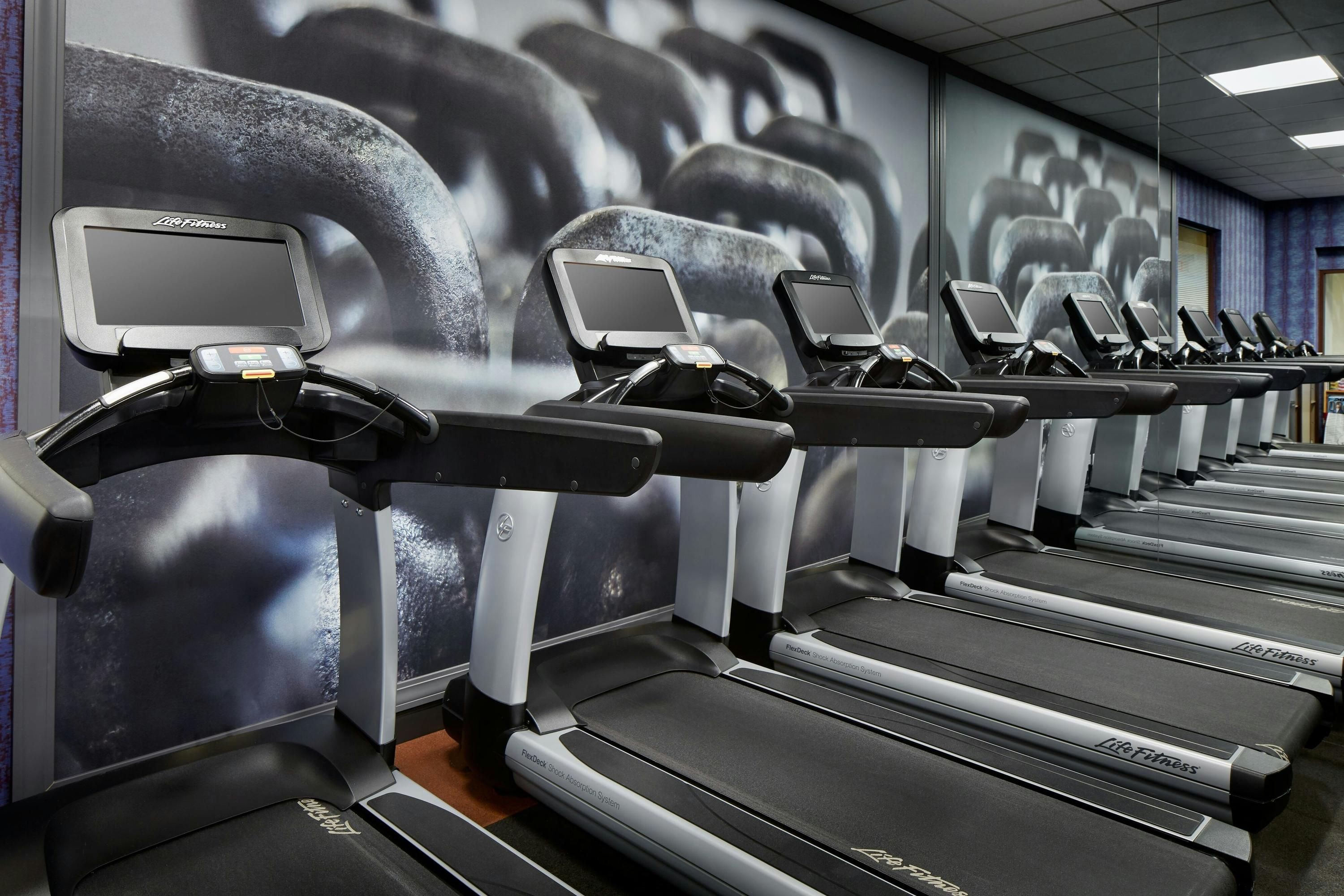 Palestra