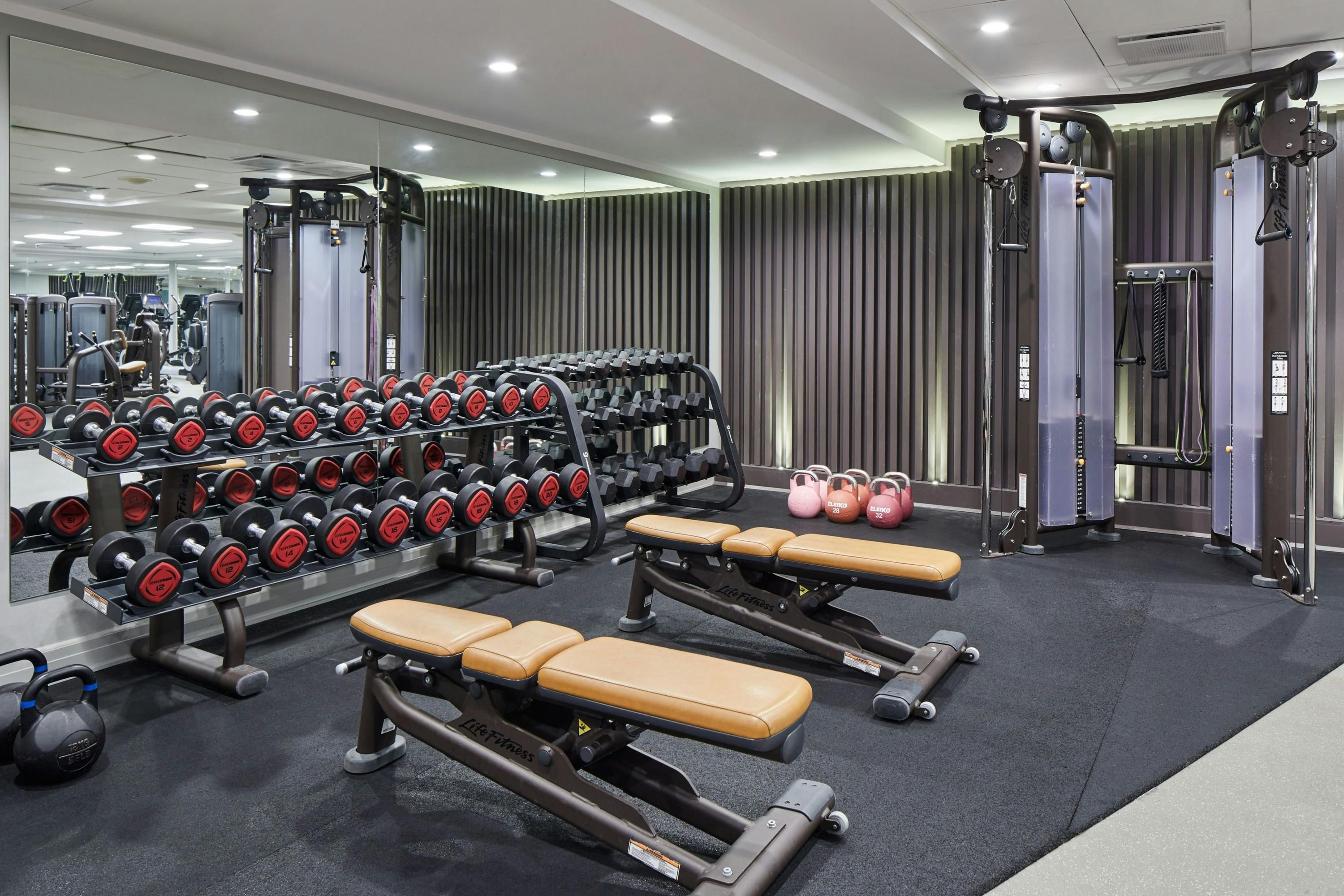 Palestra
