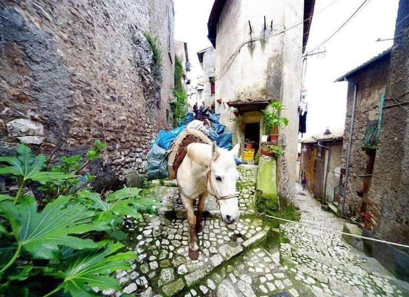 Altro Foto