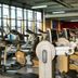 Palestra