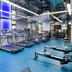 Palestra