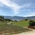 Vista esterna