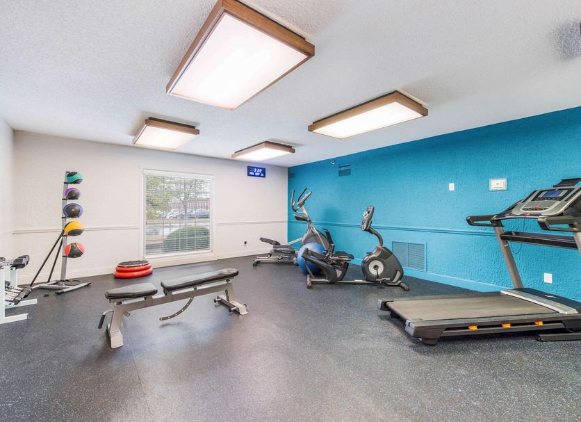 Palestra Foto