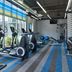 Palestra