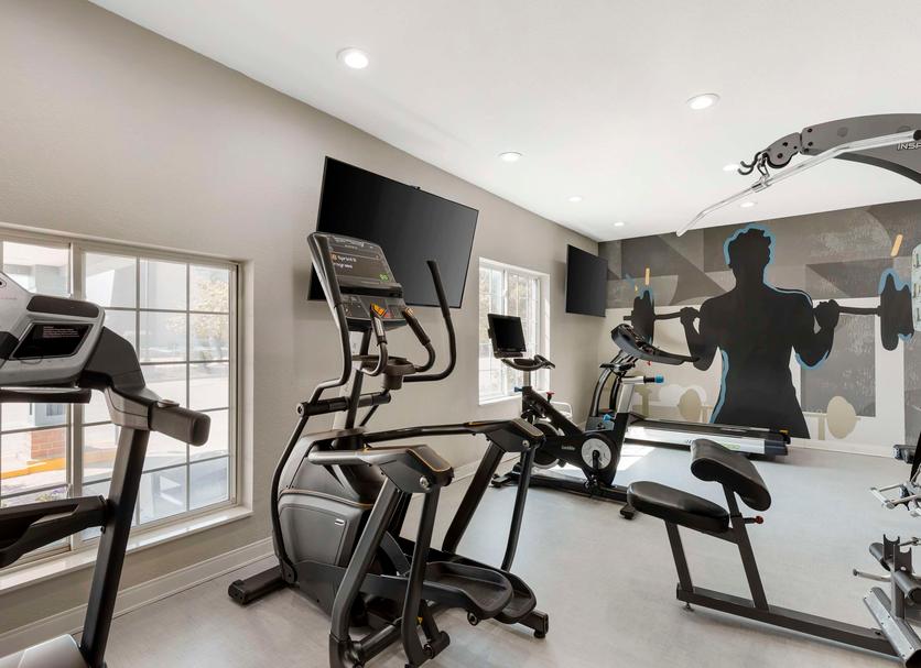Palestra Foto