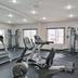Palestra