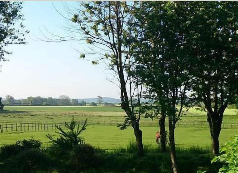 Vista esterna Foto